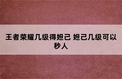 王者荣耀几级得妲己 妲己几级可以秒人